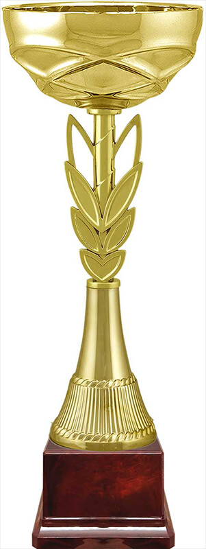 Кубок Бриз Кубок Бриз