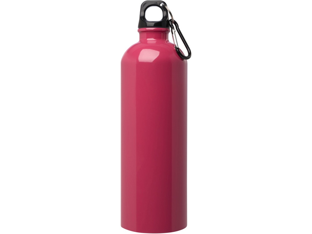 Одностенная бутылка для воды с карабином Oregon, изготовленная из нержавеющей стали, сертифицированной по стандарту RCS, объемом 750 мл - Фуксия