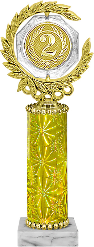 Награда 2 место Награда 2 место