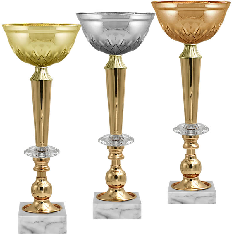 Кубок Василина (под бронзу)