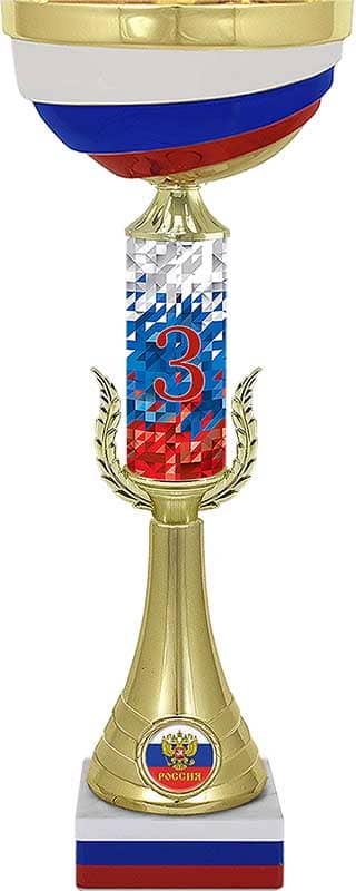 Кубок Мэтр 3 место