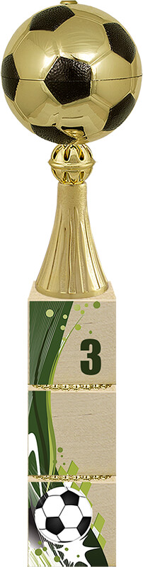 Кубок Вингер 3 место