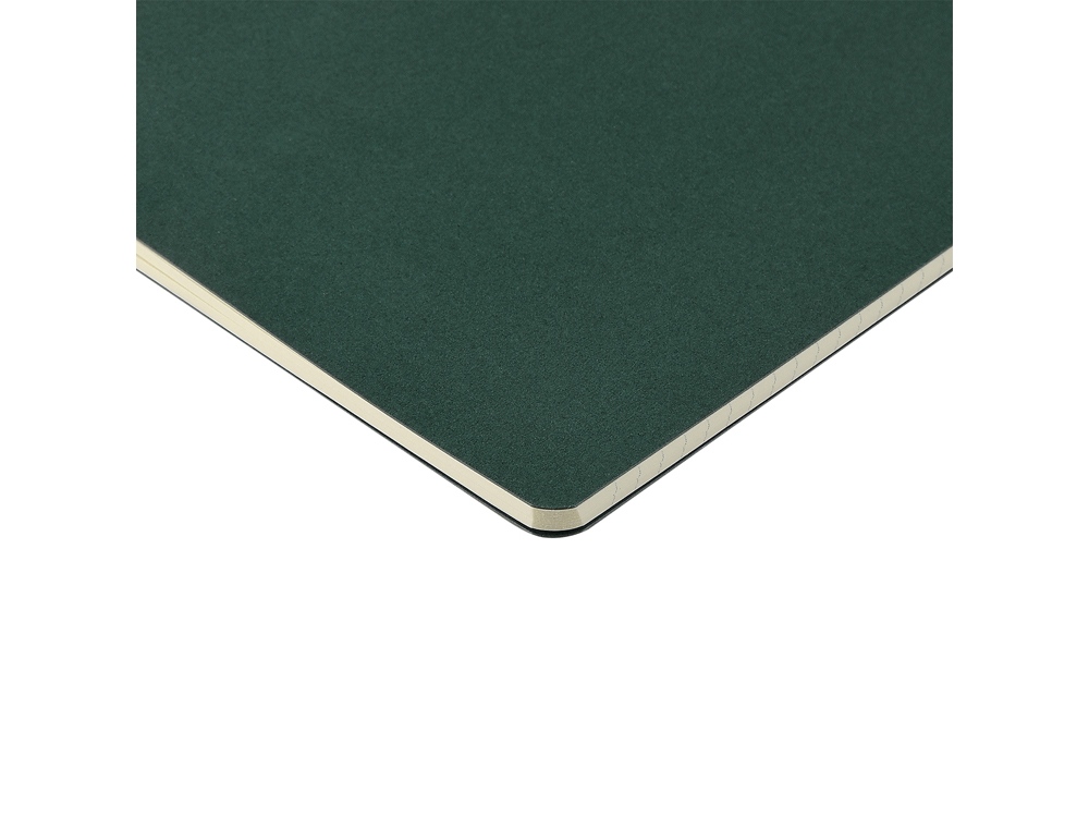 Бизнес-тетрадь А4 Pragmatic,  40л., клетка, зеленый