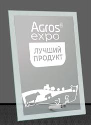 Награда из стекла с гравировкой Награда из стекла с гравировкой
