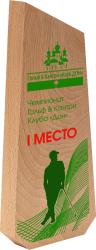 Деревянная награда с УФ печатью Деревянная награда с УФ печатью