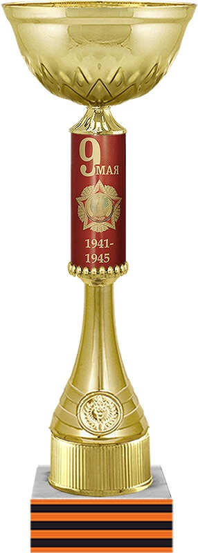 Кубок Курск