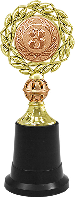 Награда 3 место