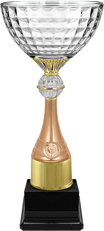 Кубок Ньютон