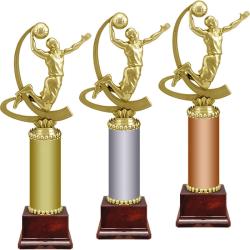 Награда Баскетбол Награда Баскетбол