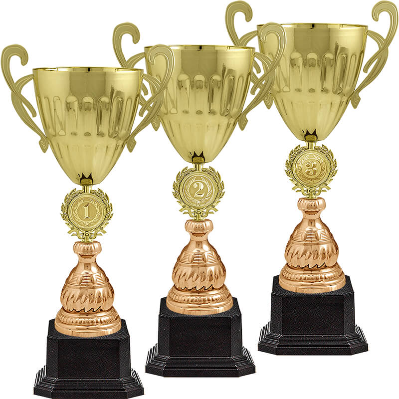 Кубок Дейла 3 место