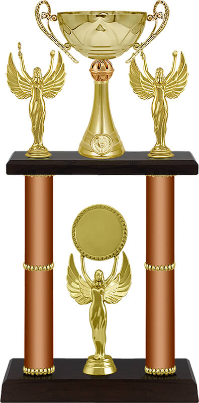 Кубок Шеона (под бронзу)