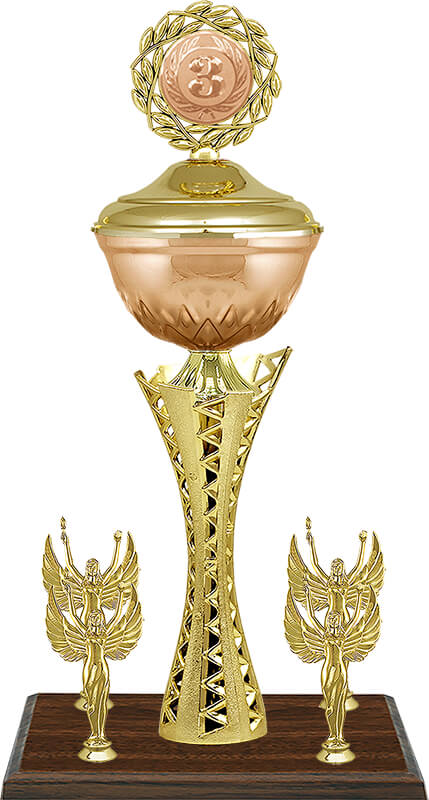 Кубок Хилтон 3 место