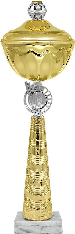 Кубок Касиль