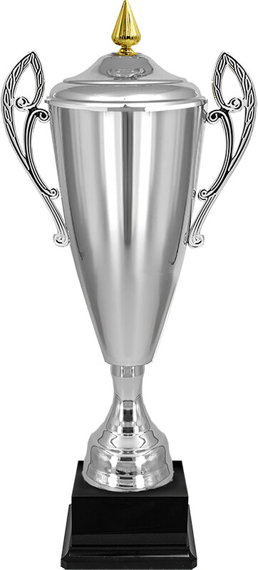 Кубок Владияр