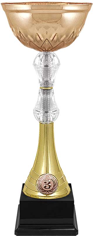 Кубок Нэш 3 место