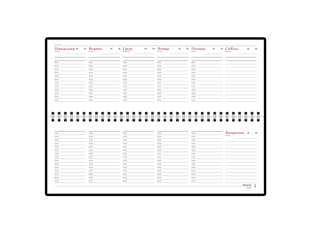 Планинг недатированный Sidney Nebraska, коричневый (Р) Планинг недатированный Sidney Nebraska, коричневый (Р)