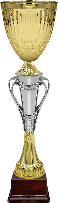 Кубок Тотти Кубок Тотти