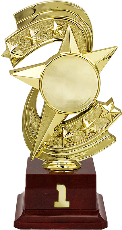 Награда 1 место