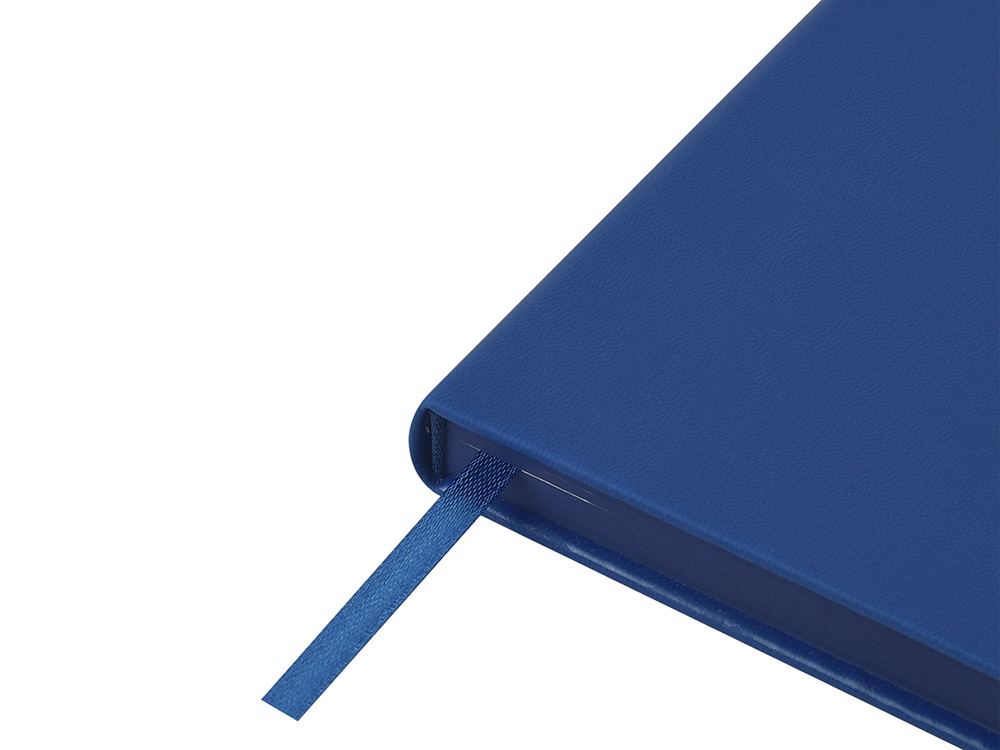 Ежедневник недатированный А6+ Megapolis Color, синий