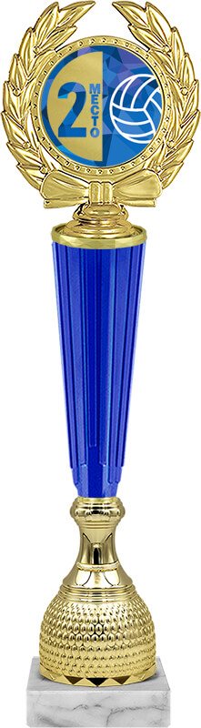 Награда волейбол 2 место