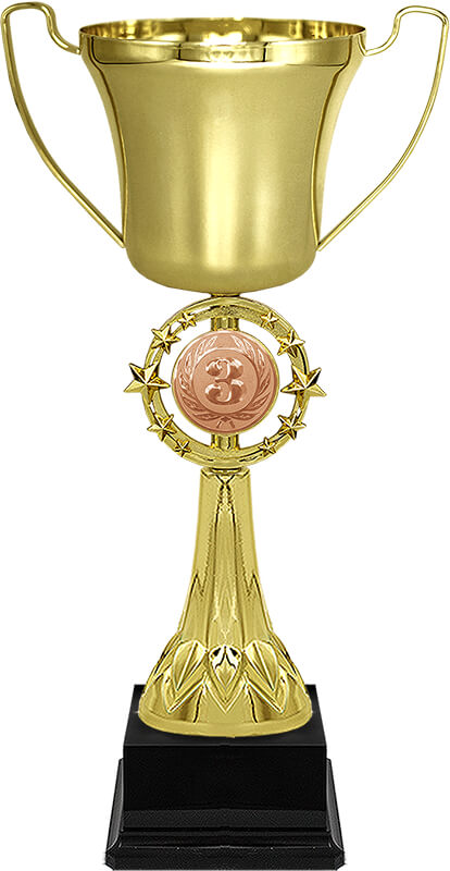 Кубок Паскаль 3 место