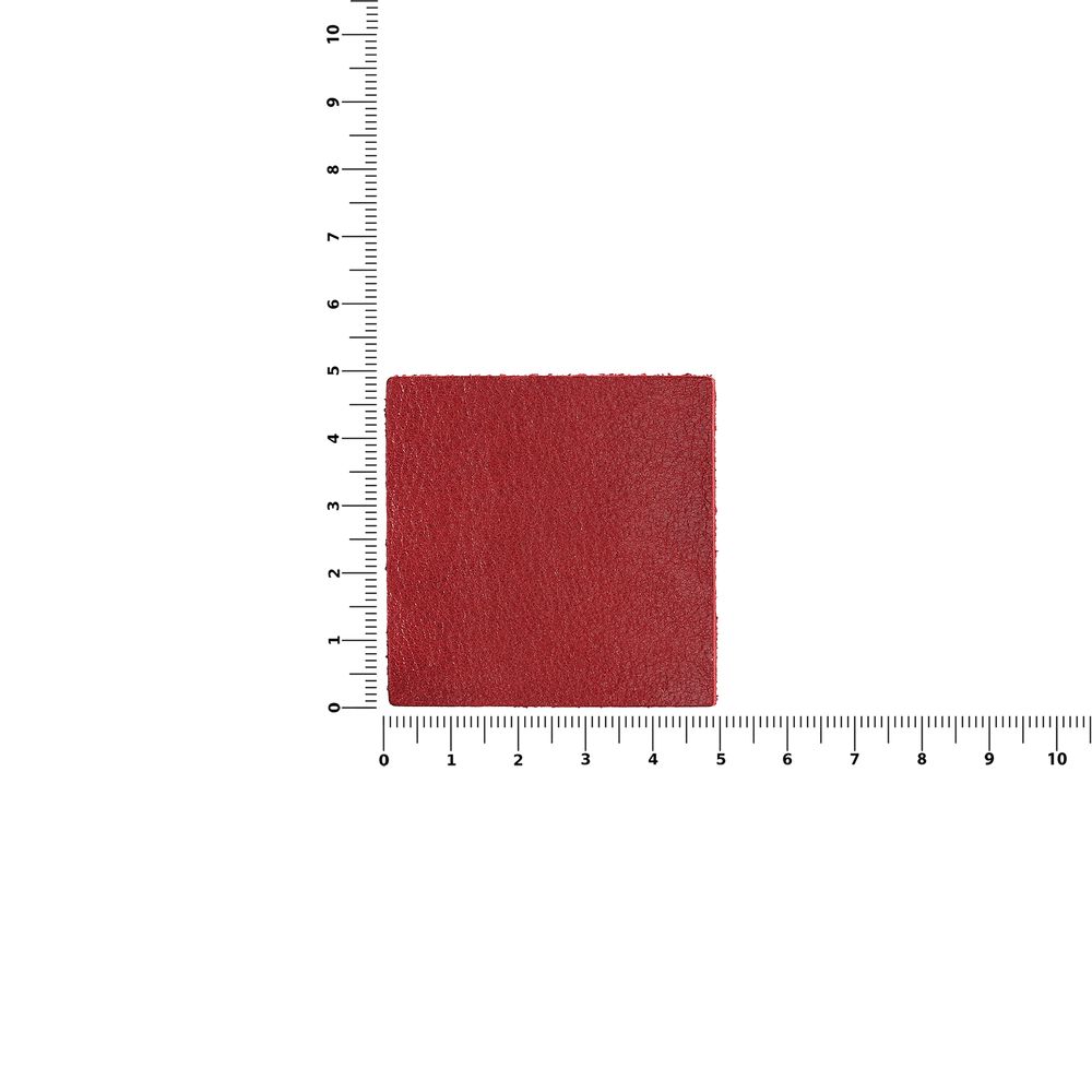 Лейбл кожаный Pasek, L, красный