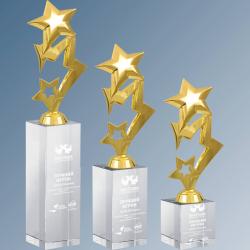 Награда Звезды с гравировкой Награда Звезды с гравировкой