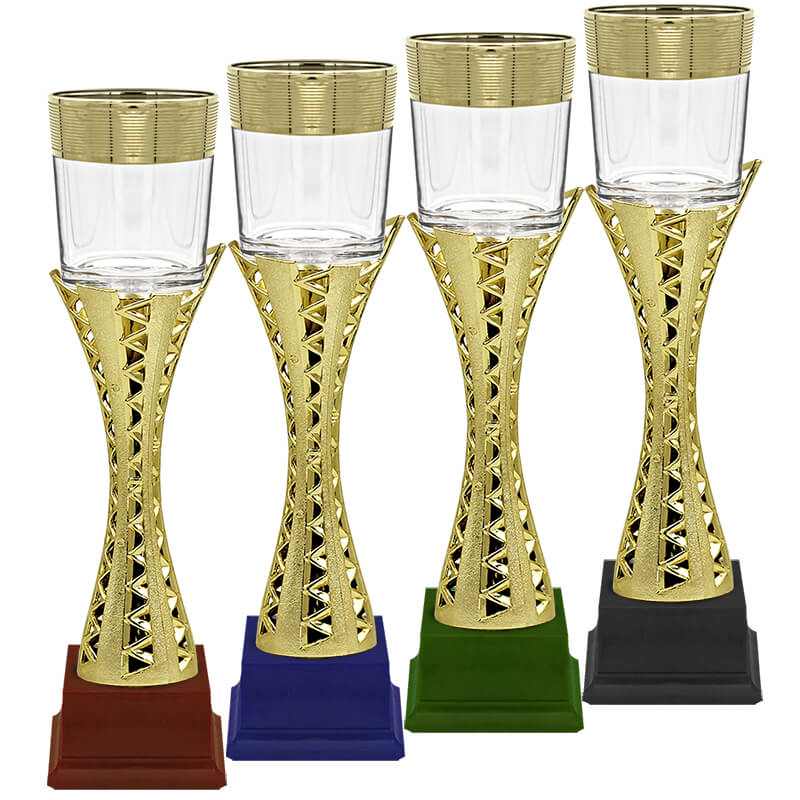 Кубок Амина (бордо)