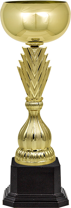 Кубок Зингер
