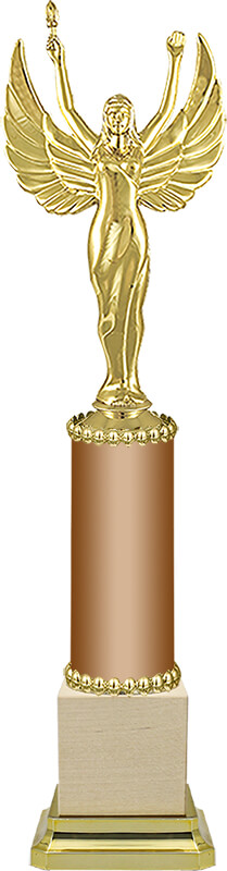 Награда (бронза)