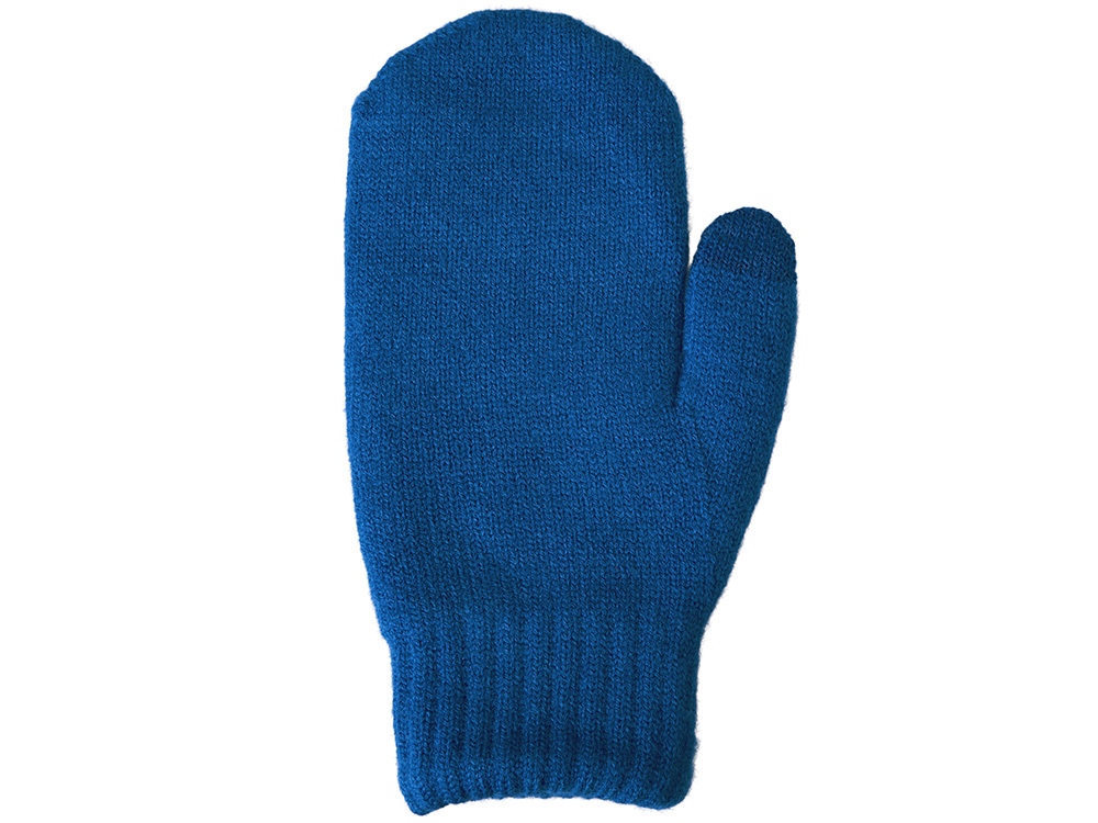 Варежки Dunant, классический синий