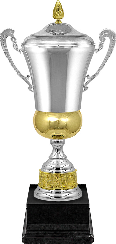 Кубок Сократ