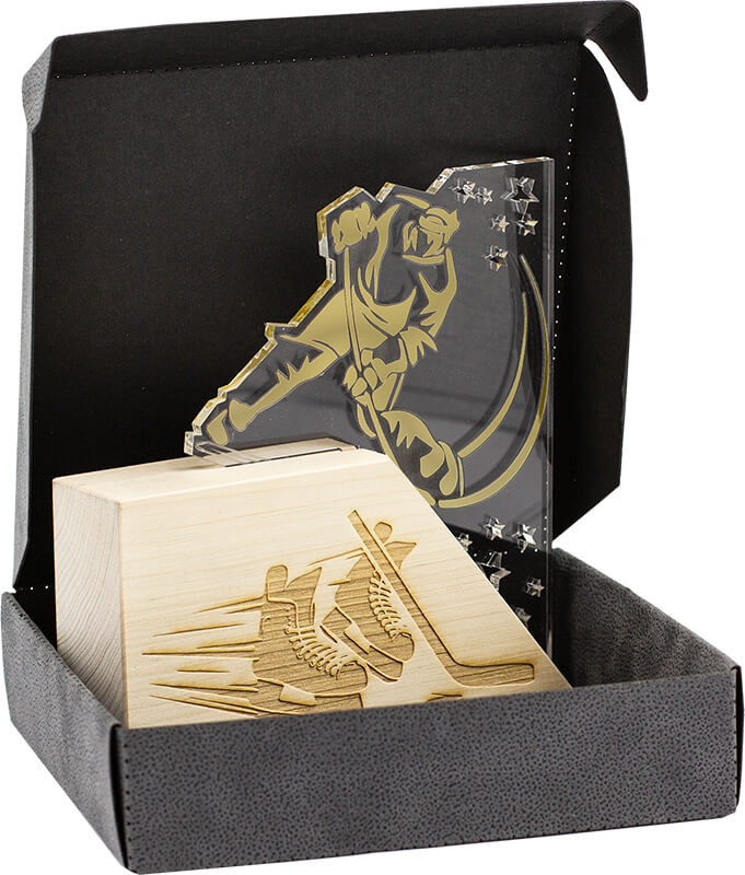 Акриловая награда Хоккей Акриловая награда Хоккей