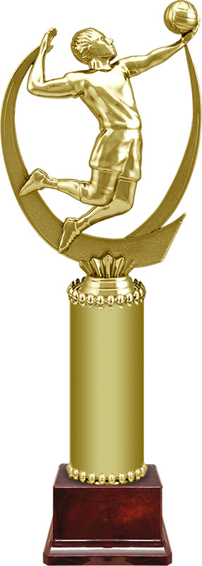 Награда Волейбол