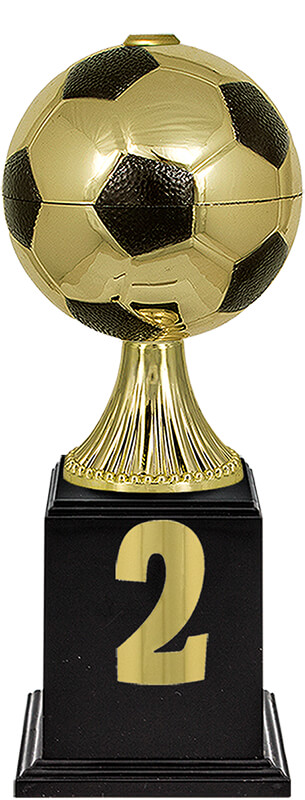 Кубок Мерхер 2 место Кубок Мерхер 2 место