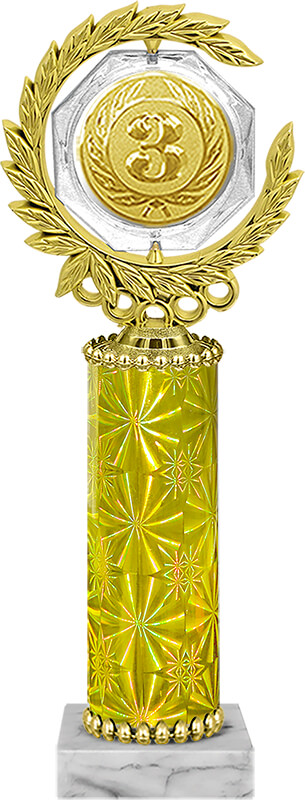 Награда 3 место Награда 3 место