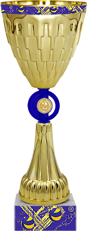 Кубок Удрис 2 место