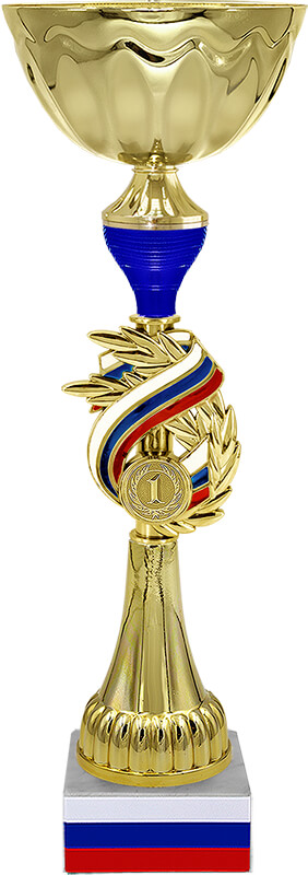 Кубок Бригадир 3