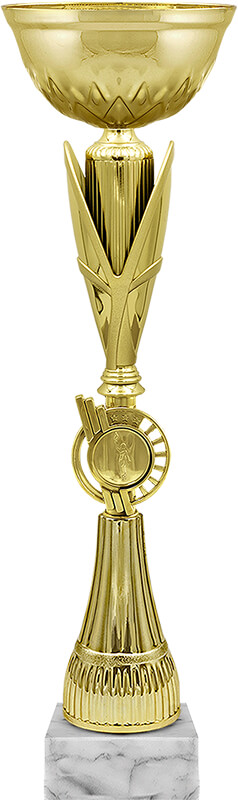 КубокТинара