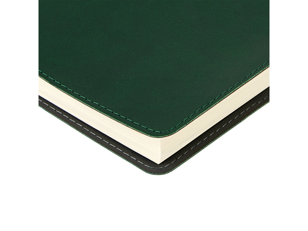 Ежедневник А5 Tintoretto, зеленый