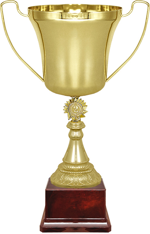 Кубок Ампер 2 место