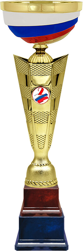 Кубок Святозар 2 место