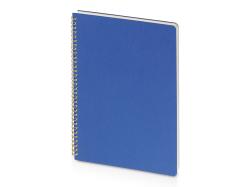 Бизнес тетрадь на гребне А4 Pragmatic, 100 листов в клетку, синий Бизнес тетрадь на гребне А4 Pragmatic, 100 листов в клетку, синий