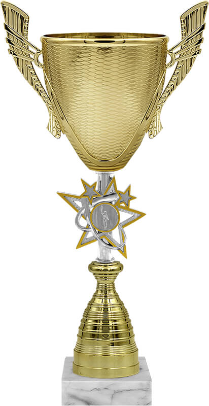 Кубок Аркадия