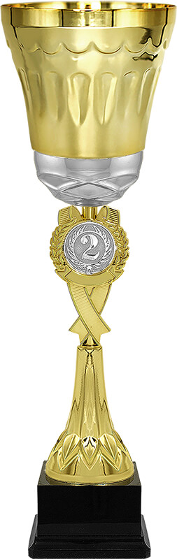 Кубок Эрнест 2 место