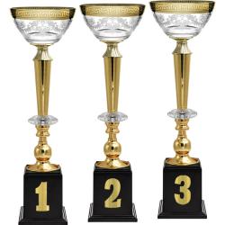 Кубок Эллея 3 место Кубок Эллея 3 место