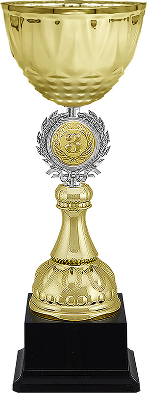 Кубок Чарлик 3 место