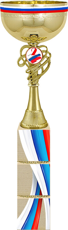 Кубок Премьер 2 место