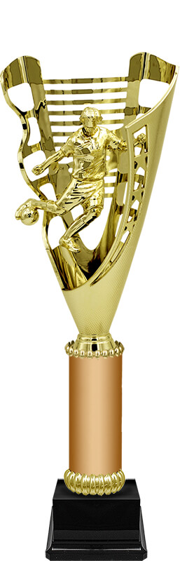 Кубок Рикардо (под бронзу)