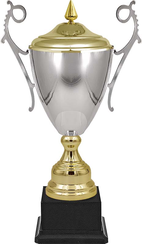 Кубок Самрат (серебро)